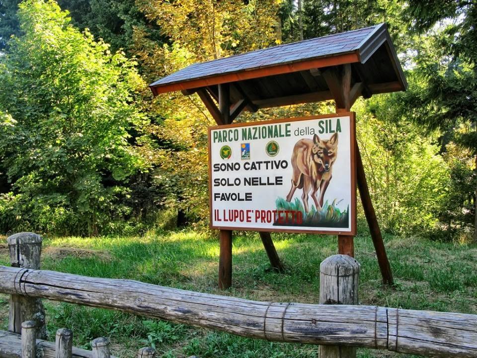 B&B La Rosa Dei Venti Acri Eksteriør bilde